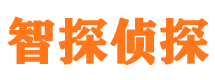 泰安外遇调查取证